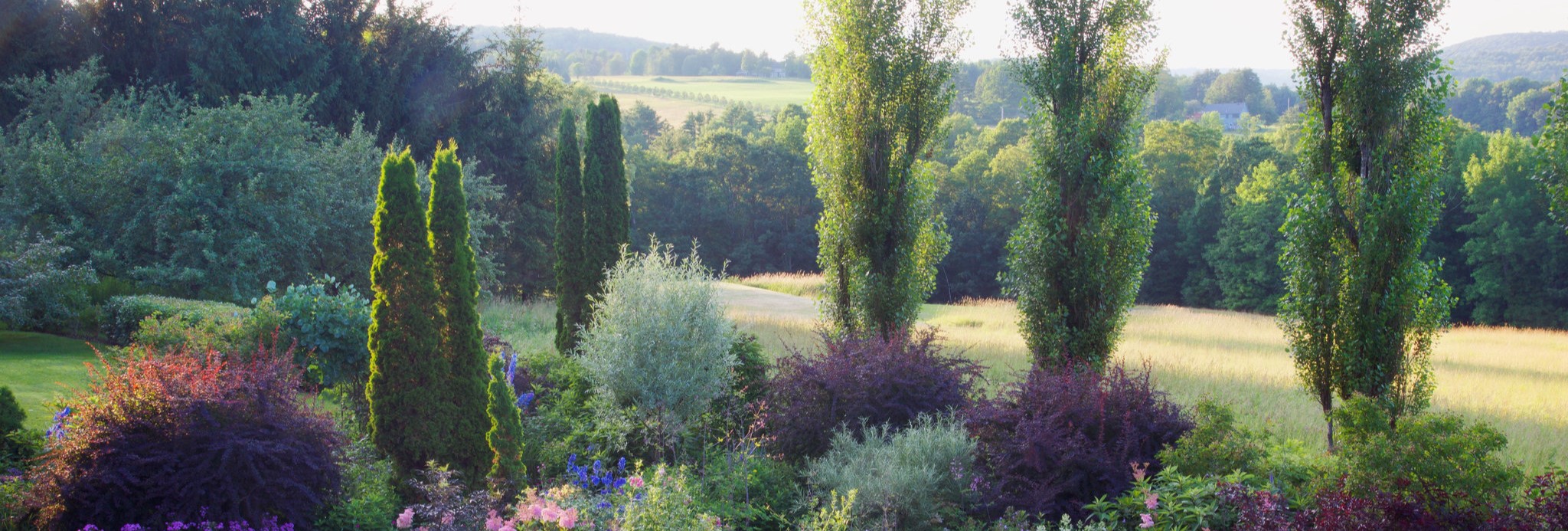 Landscape Maintenance